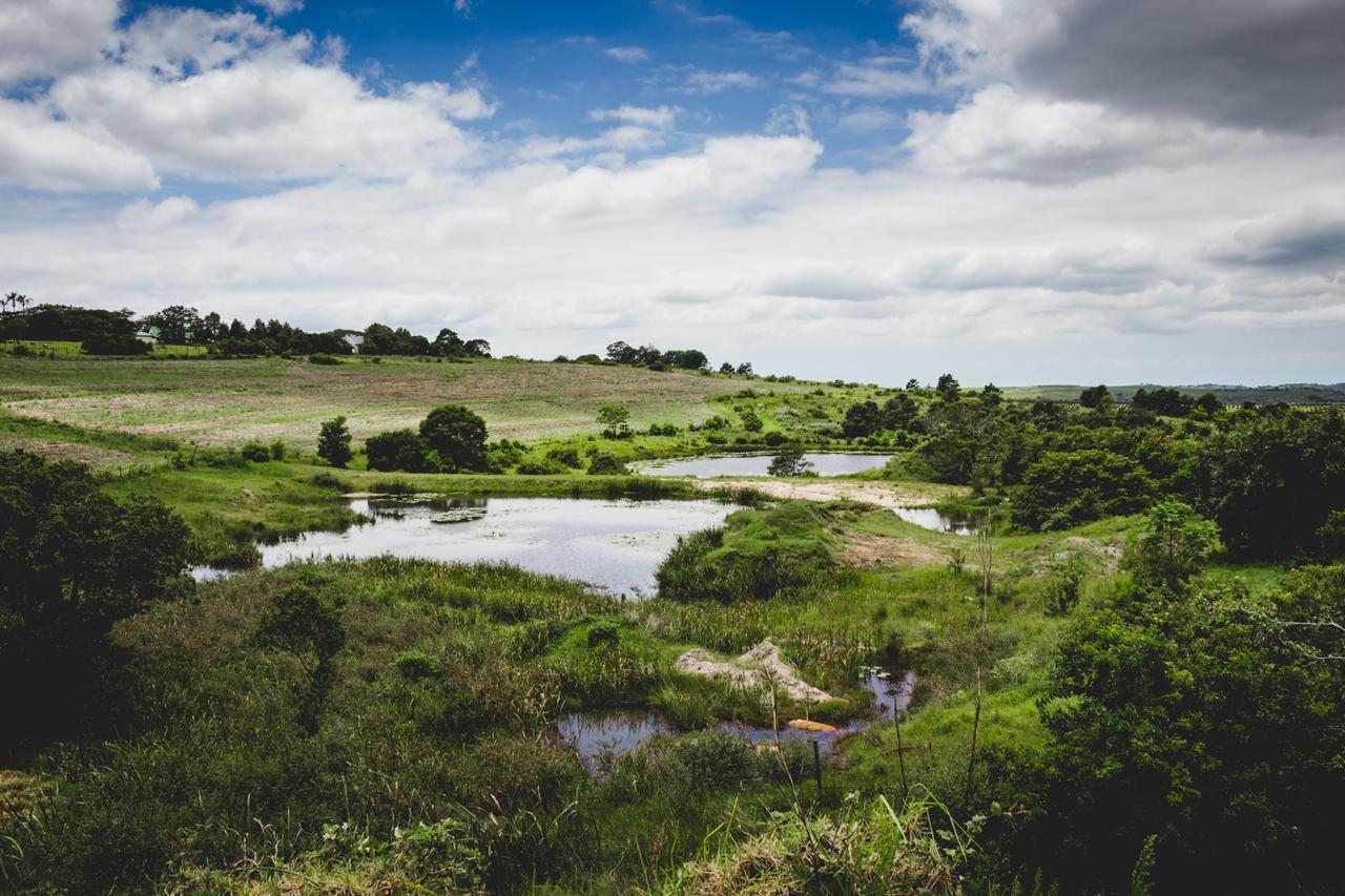 Oribi Gorge Guest Farm Hotel Glendale Kültér fotó